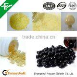 Medical Gelatin Used for Empty Hard Capsule thumbnail-3
