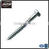 Din 571 Hex Head Wood Lag Screw thumbnail-6