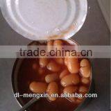 Canned White Kidney Beans in Tomato Sauce 425g thumbnail-1