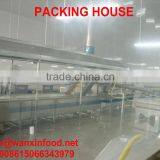 PICKLED SUSHI SALTED GINGER thumbnail-2