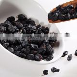 Xinjiang hot sale raisin and raisin buyer from all over the world