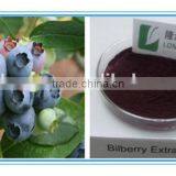 Professional Manufactory Supply Chinese Bilberry P.E/ Blueberry Spray-dried Fruit Powder Free Sample Supplied thumbnail-2