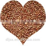 JSX bulk cooking with black beans cost price export cowpeas