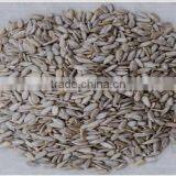 High Quantity Sunflower Kernels for Bakery Grade for Importers thumbnail-1