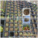 Friendly Building Materials Free Asbestos Vermiculite for Fireproof Board Insulation thumbnail-4