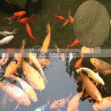 Animals Feed Supplement Kelp Meal thumbnail-6