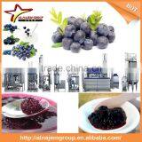 Hot Hot Full Automatic Industrial Blueberry Jam Maker Machine High Viscosity Production Line thumbnail-4