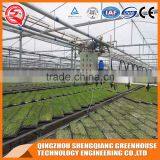 Agriculture Hollow Tempered Glass Greenhouse Dirp Irrigation for Sale thumbnail-6