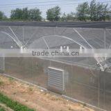 The Simple Film in Greenhouse for Sale thumbnail-1