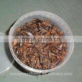Pet Food Fish Food Freeze Dried Crickets thumbnail-5