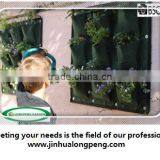 Cheap Vertical Wall Pots Planter,Vertical Garden DIY.Wall Mount Plant Pot Felt thumbnail-1