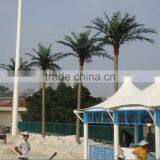 Artificial Date Palm Tree Fiberglass Tree Sale Fake Tree Outdoor Decoration thumbnail-3