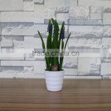 Artificial Mini Hyacinth Bonsai for Table Decoration thumbnail-3