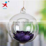 hot-sale hanging glass ball for flower