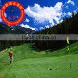 High Strength Plastic Used in the Golf Course Grass Grid thumbnail-1