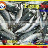 IQF LAYANG SCAD WHOLE ROUND thumbnail-1