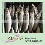 Types of Seafoods Fish Mackerel thumbnail-1