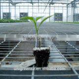 Agricultural Steel Greenhouse Seedbed for Nursery Ebb and Flow Rolling Bench thumbnail-1