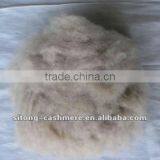 Brown Dehaired Cashmere Fibre thumbnail-1