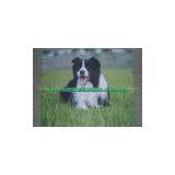 Sublimation Inks for Litho Press thumbnail-3