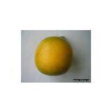 Artificial Fruit thumbnail-1