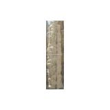 Wood Petrifaction Stone