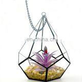 Geometric Glass Terrarium Wholesale Terrarium Glass thumbnail-4