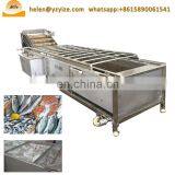 Automatic Vegetable Fruit Meat Thawing Washing Machine Fruit Washer Price thumbnail-5
