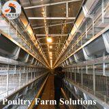 H Type Layer Chicken Chicken Cage With Full Automatic Equipment for 100000 Birds thumbnail-2