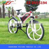 Hot Sale Cheap 250w Electric Motor Bike Home thumbnail-2