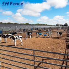 Ranch-Proven Cattle Panel: Engineered for Ultimate Strength & Durability in All Farming & Livestock Applications thumbnail-2