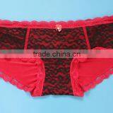 Cheap Price Hot Colorful Sexy Lace Plus Size Bra Set thumbnail-5