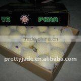 Chinese Fresh Delicious ya Pear thumbnail-1