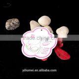 2016 Fashion Custom Logo Hang Tag for Clothing/ Women' s Underwear/dress