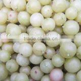 IQF Frozen Gooseberry With Good Quality and Hot Price
