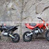 Pitbike 125cc Motocross Dirt Bike for Professional QWMOTO thumbnail-4