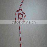 Hard Plastic Drinking Straw /double Color Drinking Straw/plastic Straw thumbnail-1