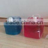 Foldable LDPE Cubitainer