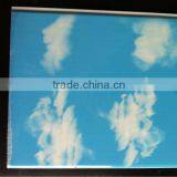 25cm Blue Sky Pattern Hot Stamping Panels thumbnail-1