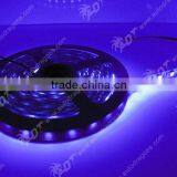 5M SMD 5050 Flexible LED Strip Diode Tape Lights 300 Leds Purple Non-waterproof 12V thumbnail-2