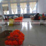 Pingyi Longyu Import And Export Co., Ltd. company overview - view 3 thumbnail