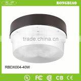 Little Wattage Indoor Lighting Induction Lamp Celing Light 40w thumbnail-1