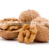 Walnut Hot Sale thumbnail-3
