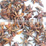 Star Aniseeds Stemless thumbnail-1