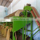 Fresh Vietnamese Cashew Kernels thumbnail-6