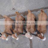 Plastic Sculpture Homemade Soft Toy Plush Goat Decorations thumbnail-4