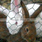 Anping Shengyang Wire Bird Screen