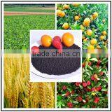 Fertilizer for Golf Course of Humic Acid Granule