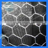Chicken Mesh(Factoryof Guangzhou) thumbnail-1