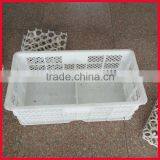 plastic chicken egg crate